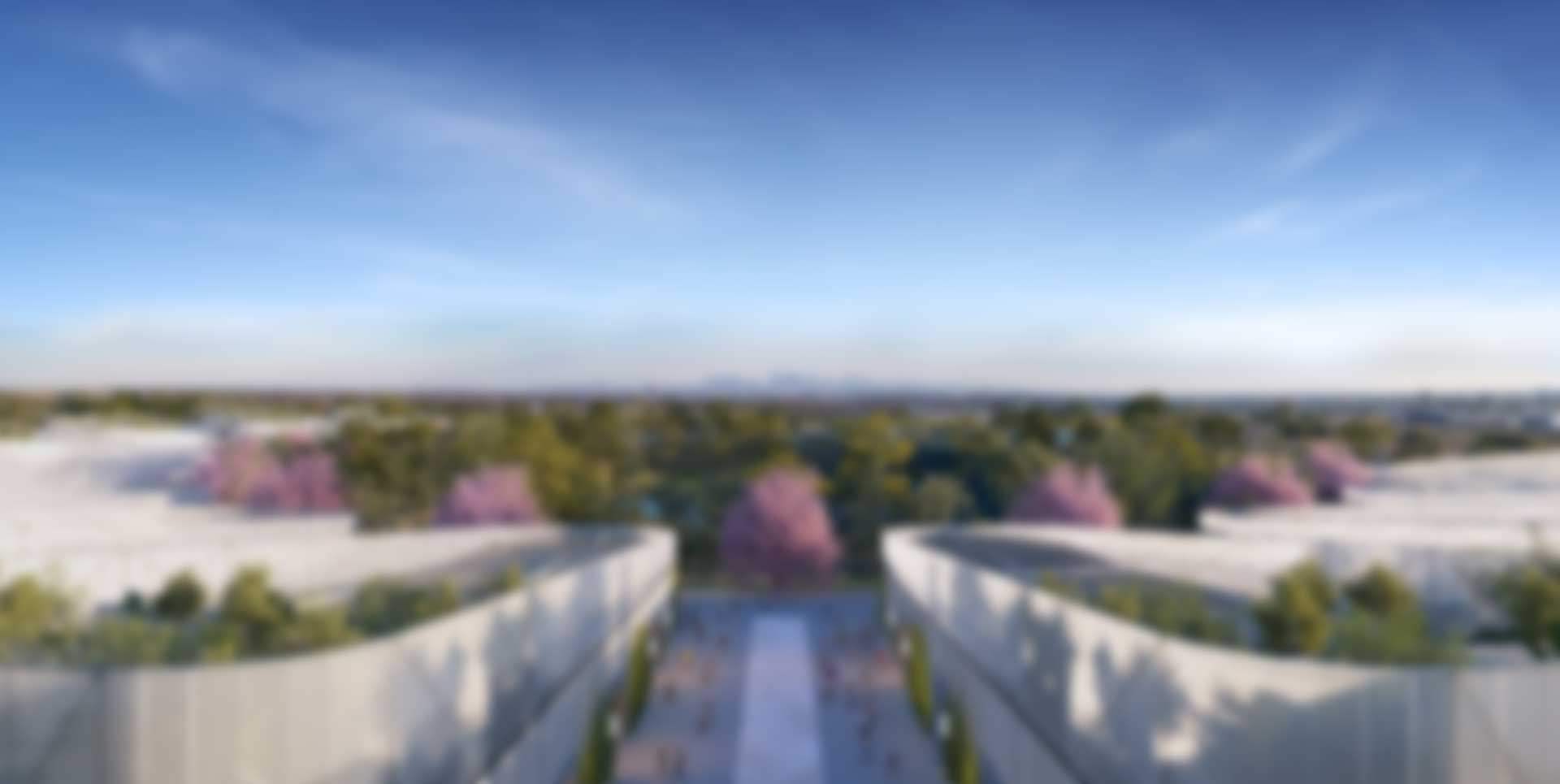 Cade Park Gallery 4